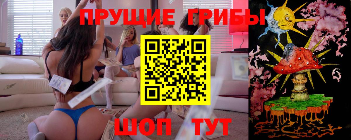 Галлюциногенные грибы Cubensis  Псилоцибиновые грибы мицелий  Азов  Вход с VPN 