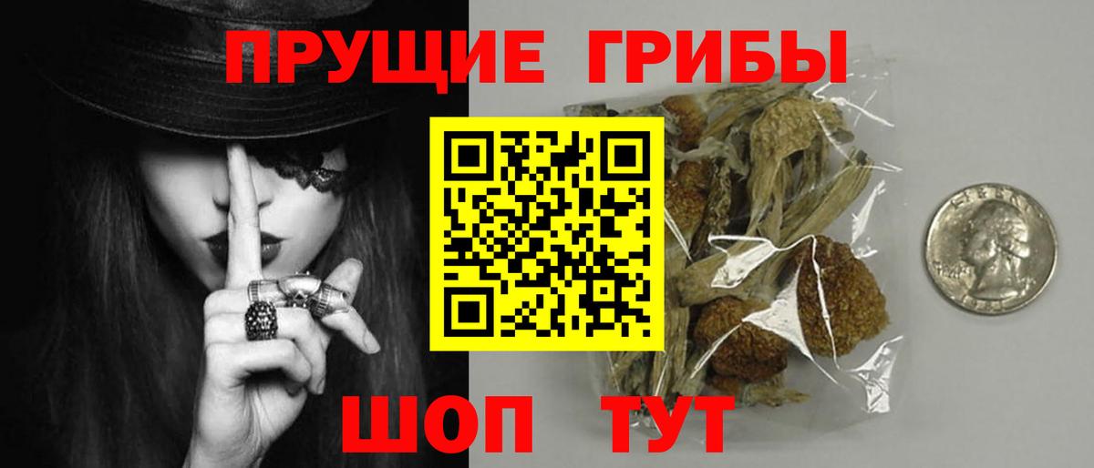 Псилоцибиновые грибы мицелий Азов